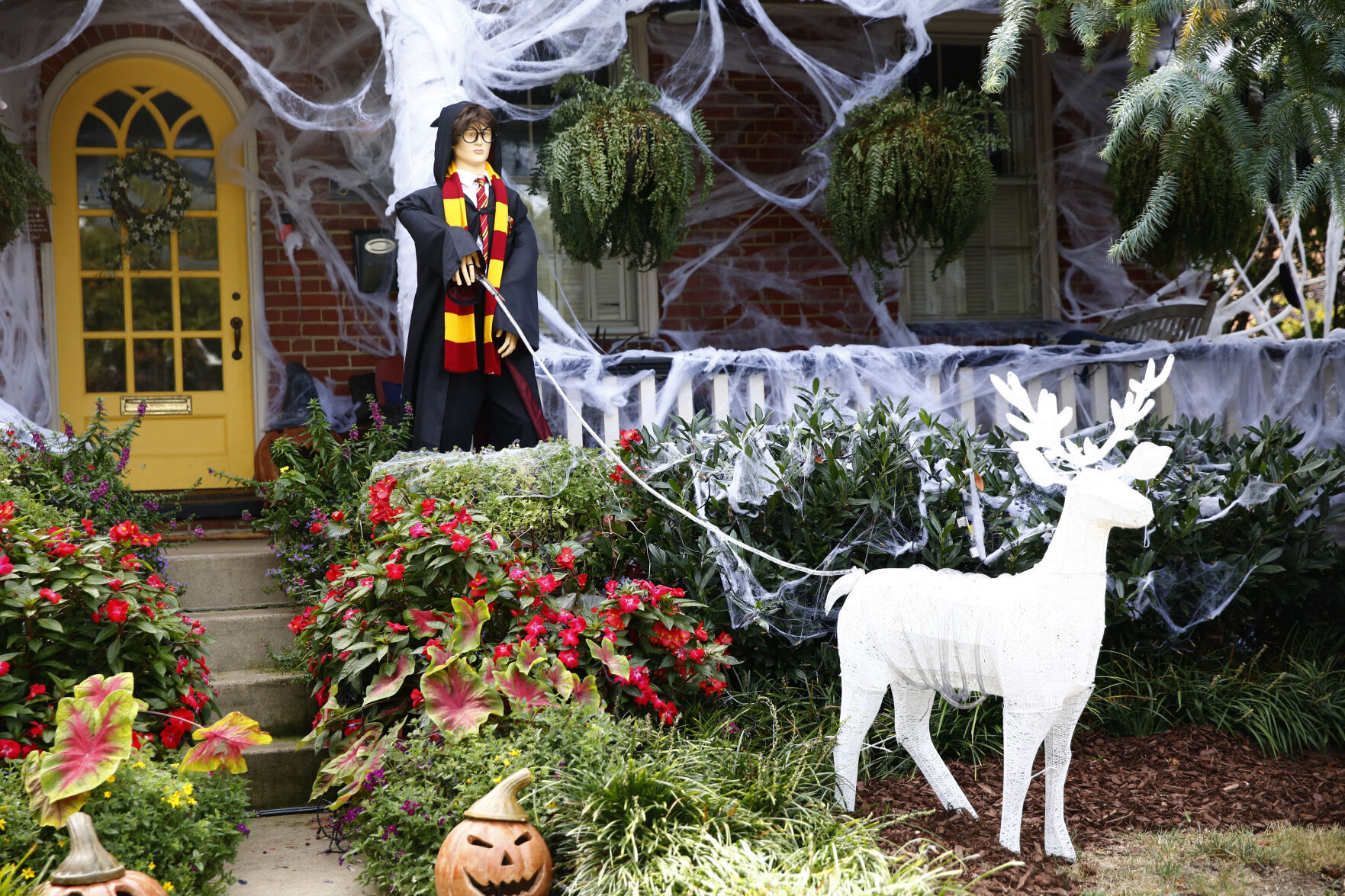 Must-see Halloween houses in Richmond area: Harry Potter house, Hellraiser house & giant skeletons